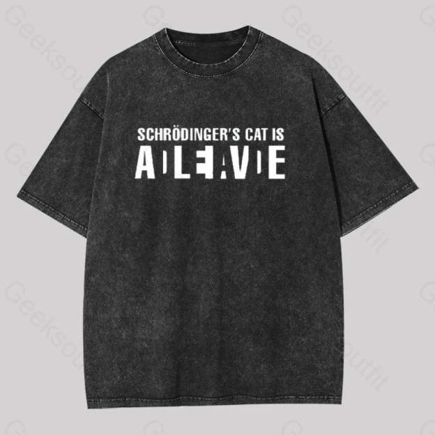 Schr?Dinger?��s Cat Adleiavde Washed T-Shirt Black / S