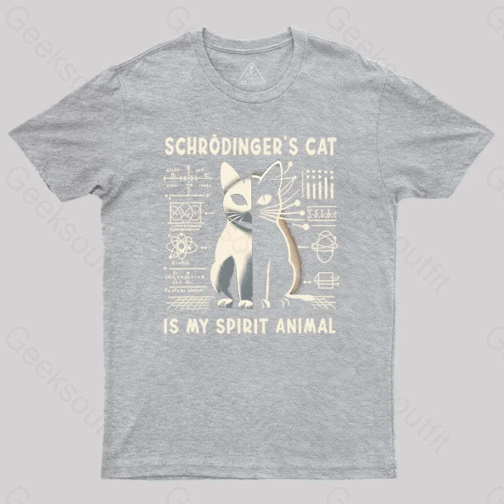 Schrodinger’s Сat Science Nerd T-Shirt Grey / S