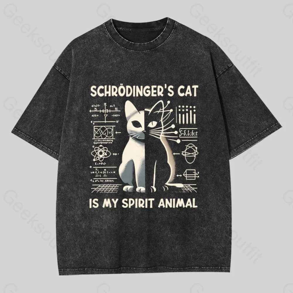 Schrodinger’s Сat Science Washed T-Shirt Black / S