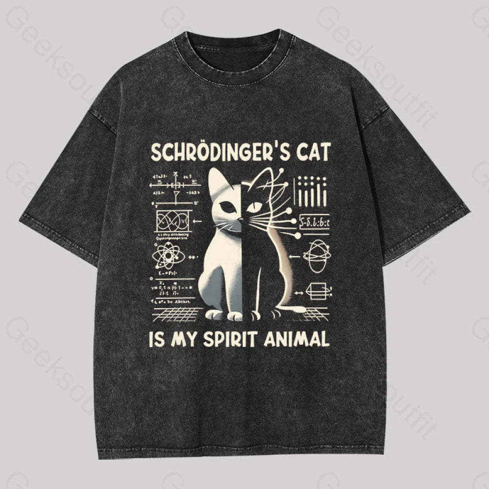 Schrodinger’s Сat Science Washed T-Shirt Black / S