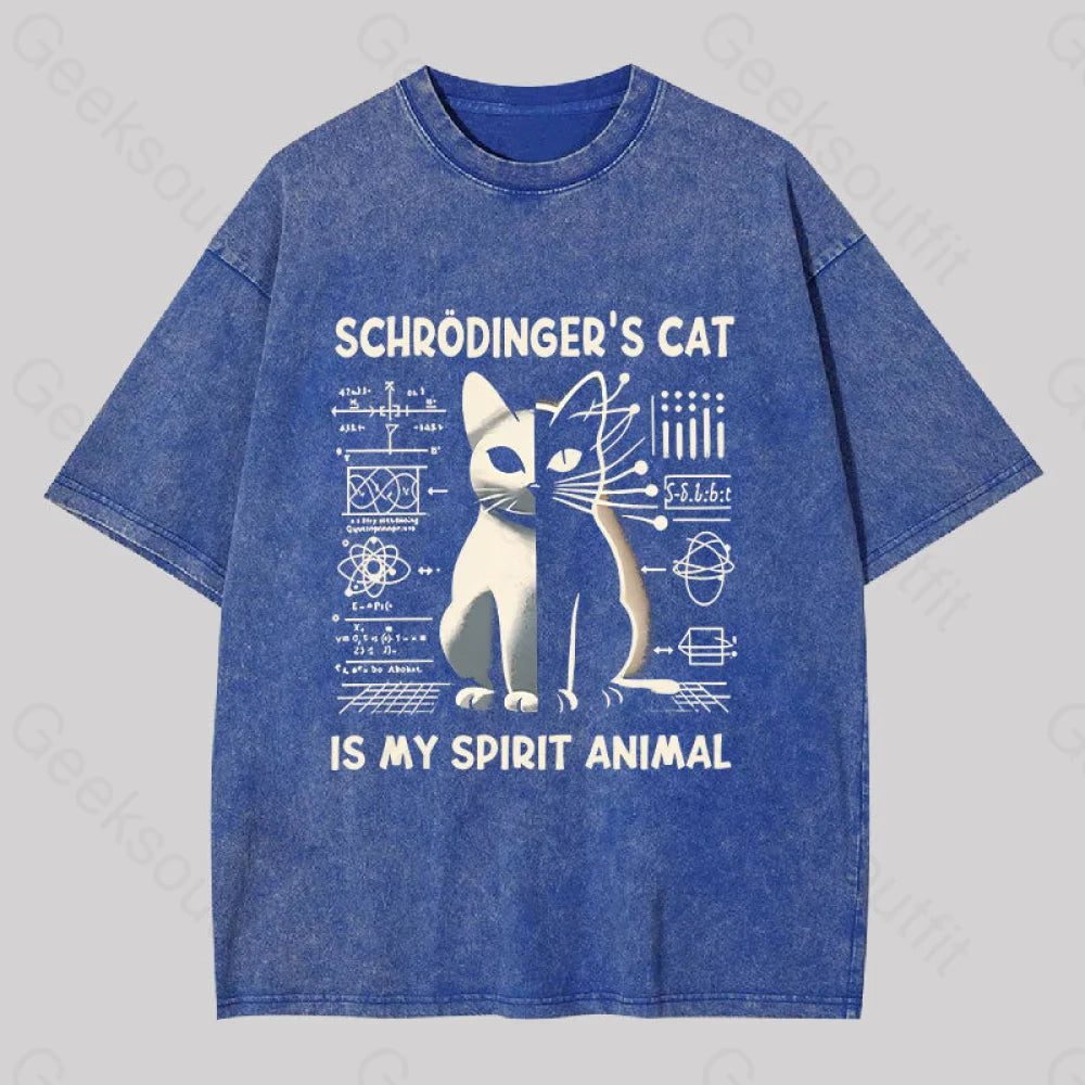Schrodinger’s Сat Science Washed T-Shirt Blue / S
