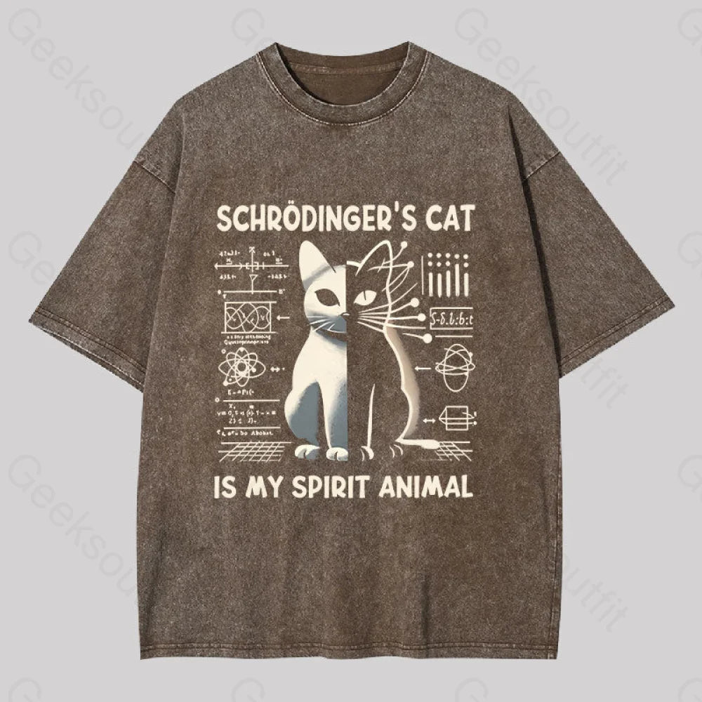 Schrodinger’s Сat Science Washed T-Shirt Coffee / S