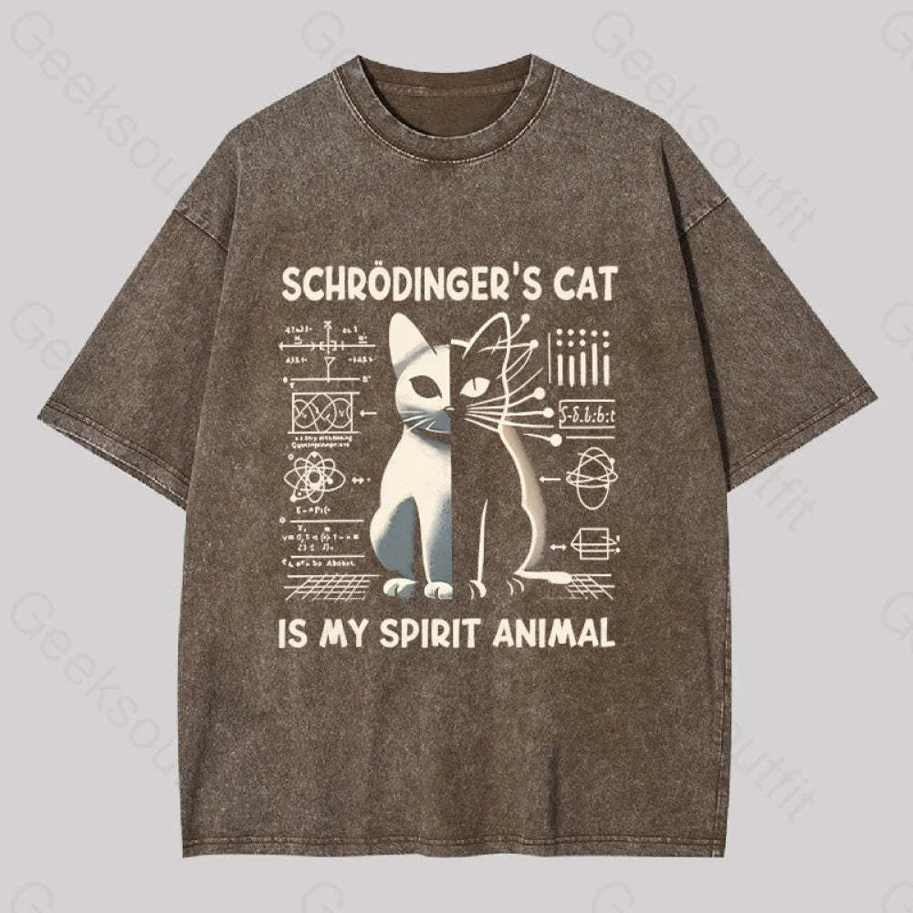 Schrodinger’s Сat Science Washed T-Shirt Coffee / S