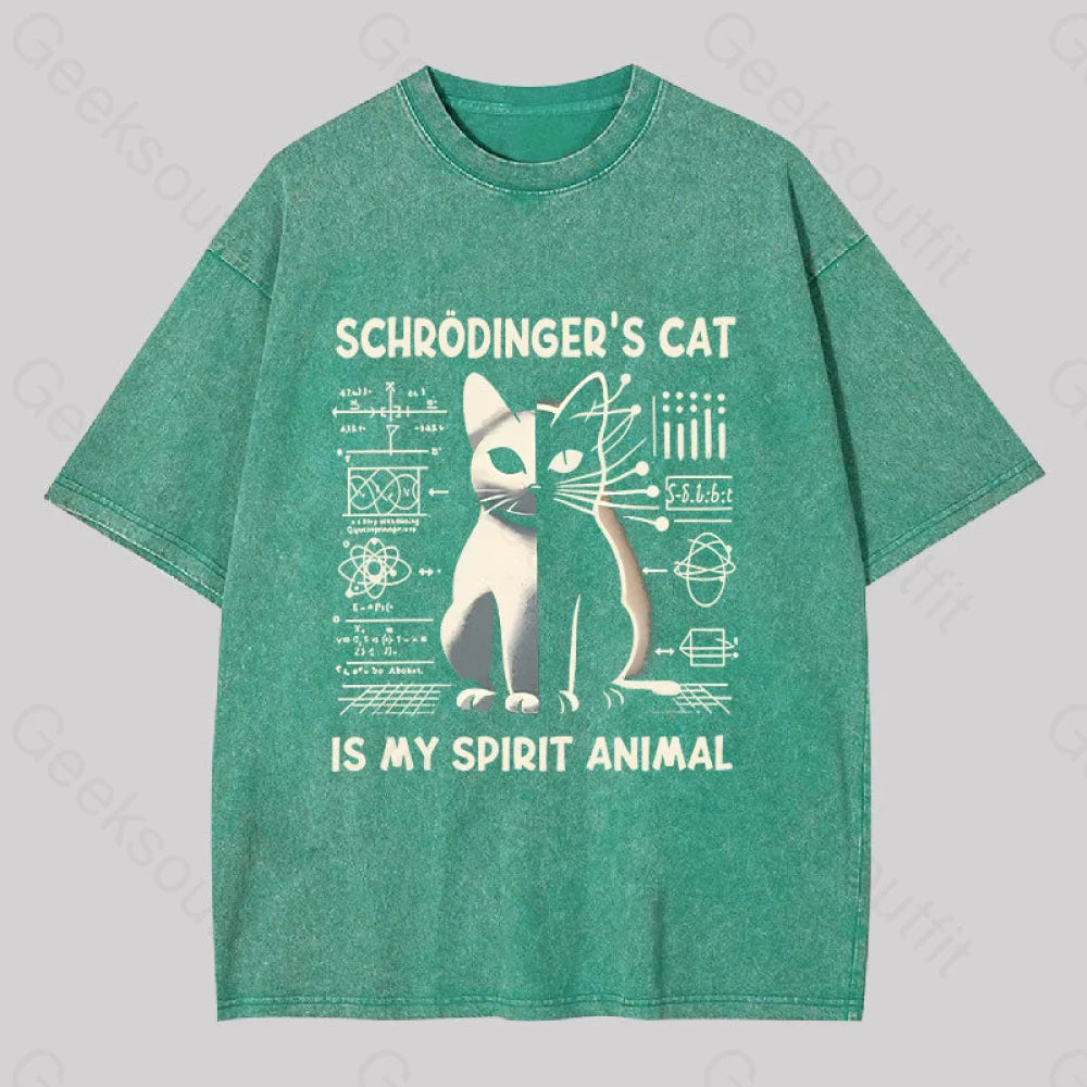 Schrodinger’s Сat Science Washed T-Shirt Grass Green / S