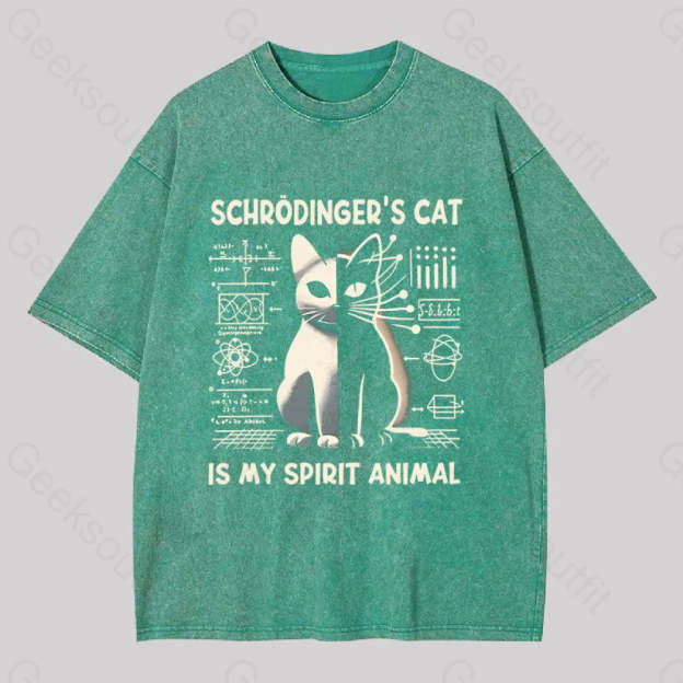 Schrodinger’s Сat Science Washed T-Shirt Grass Green / S