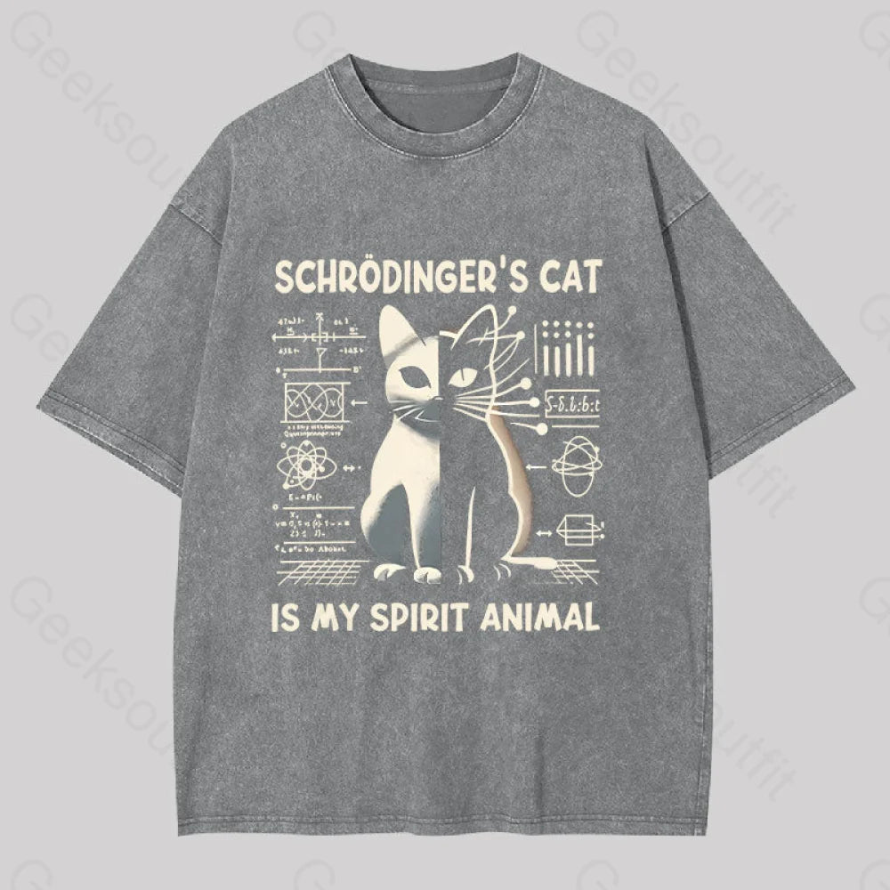 Schrodinger’s Сat Science Washed T-Shirt Grey / S