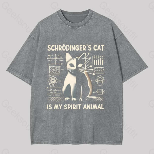 Schrodinger’s Сat Science Washed T-Shirt Grey / S