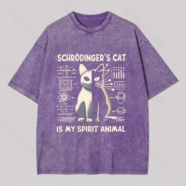 Schrodinger’s Сat Science Washed T-Shirt Purple / S