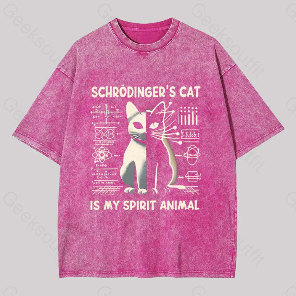 Schrodinger’s Сat Science Washed T-Shirt Rose Red / S