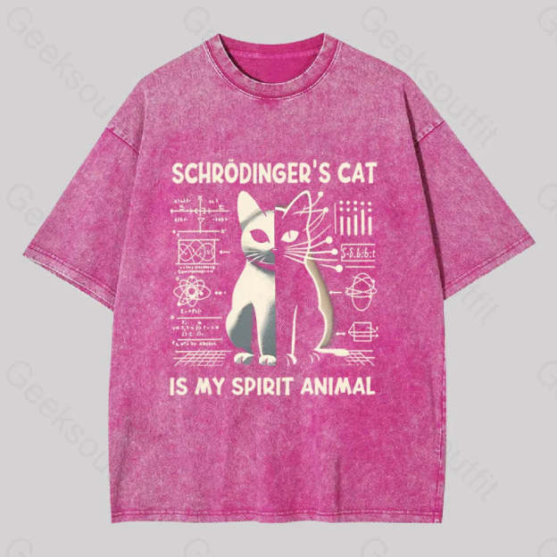 Schrodinger’s Сat Science Washed T-Shirt Rose Red / S
