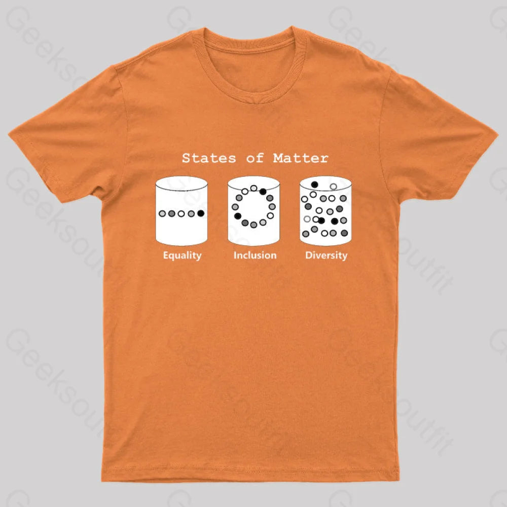 Science States Of Matter Geek T-Shirt Orange / S