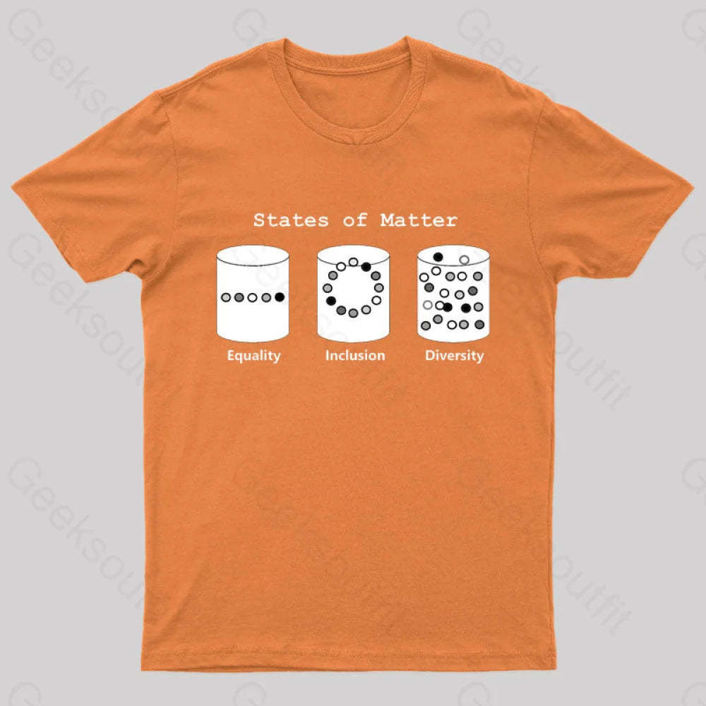 Science States Of Matter Geek T-Shirt Orange / S