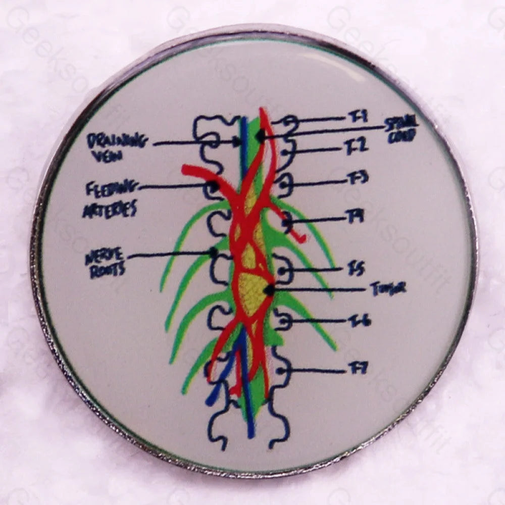 Scientific Quest For Knowledge Pins 4