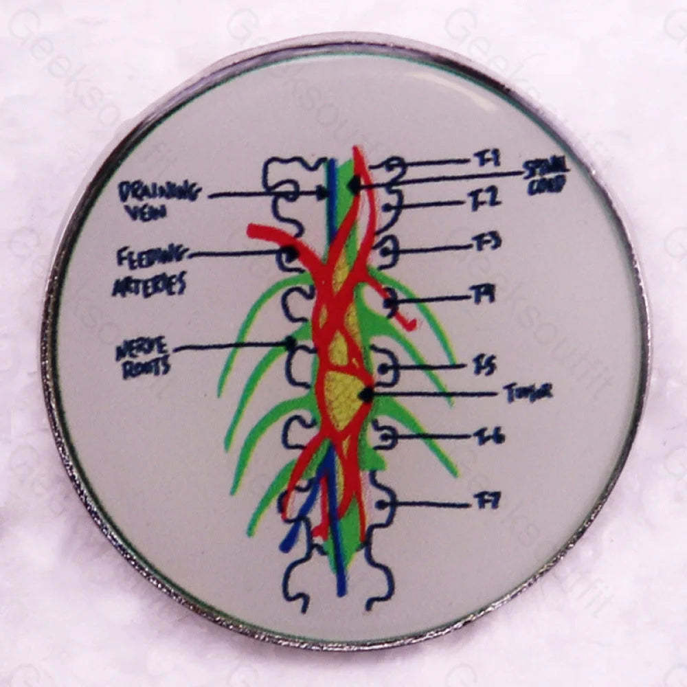 Scientific Quest For Knowledge Pins 4