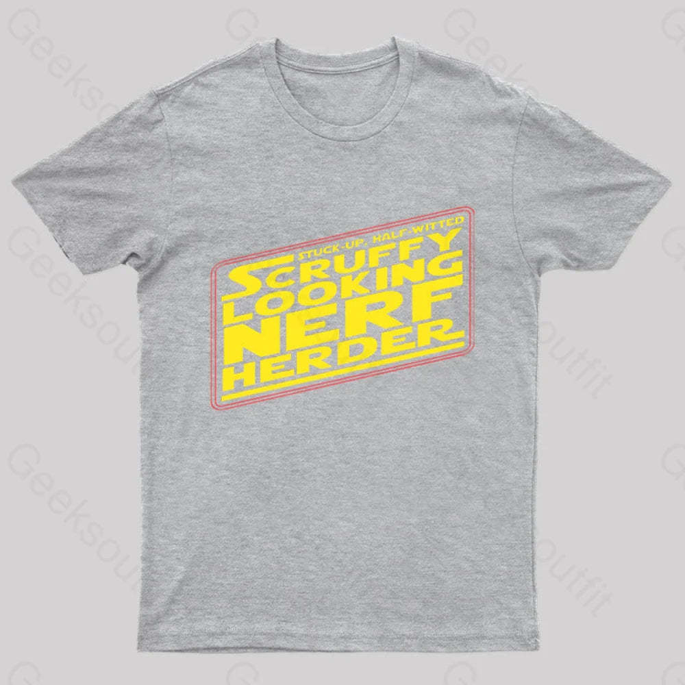 Scruffy Looking Nerd T-Shirt Grey / S