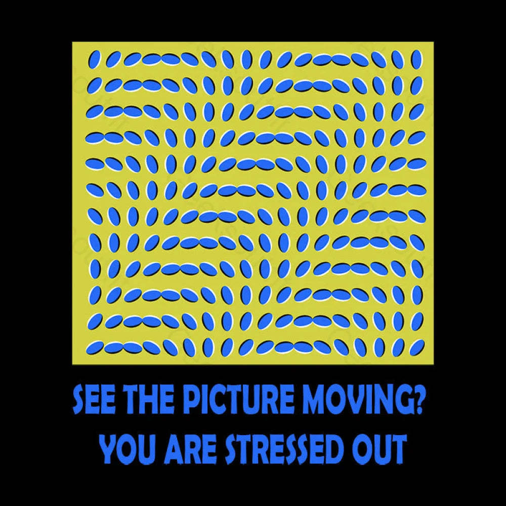 See The Picture Moving You Are Stressed Out T-Shirt