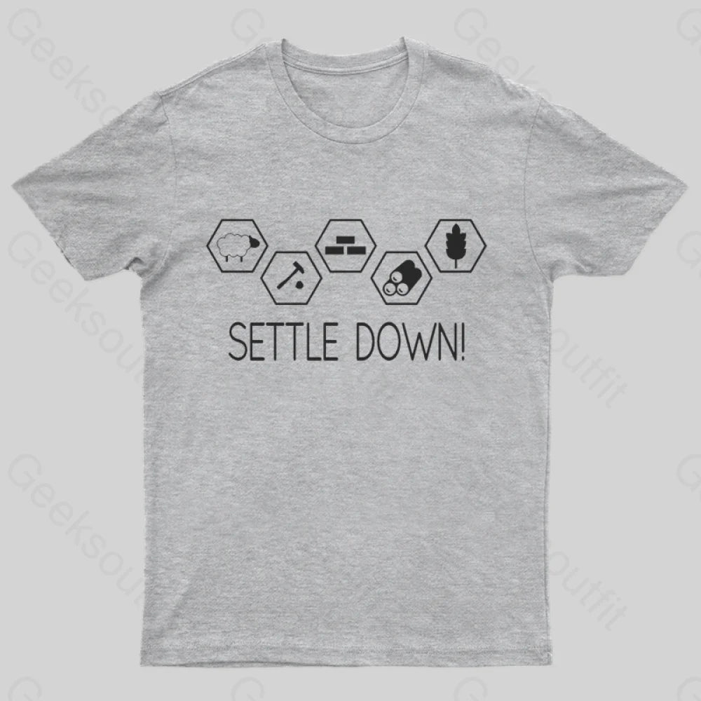 Settle Down Geek T-Shirt Grey / S