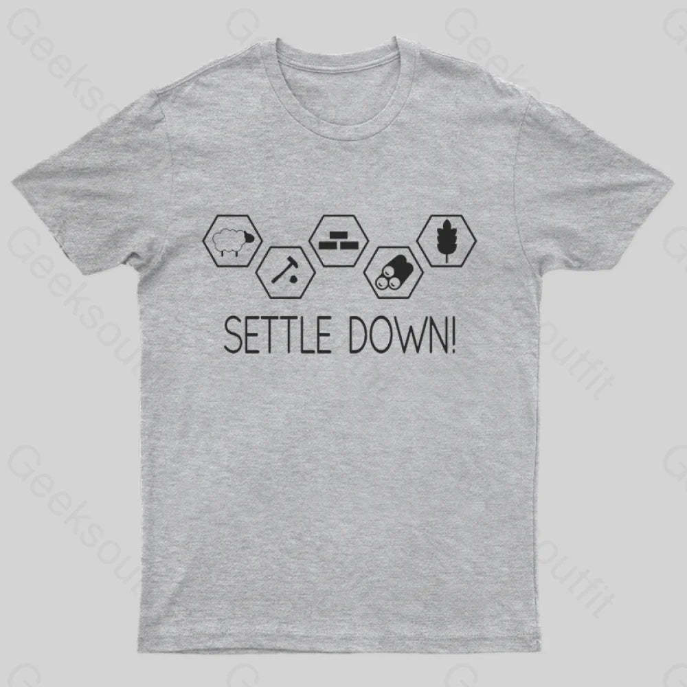 Settle Down Geek T-Shirt Grey / S