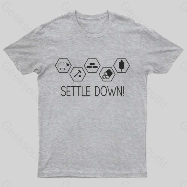 Settle Down Geek T-Shirt Grey / S