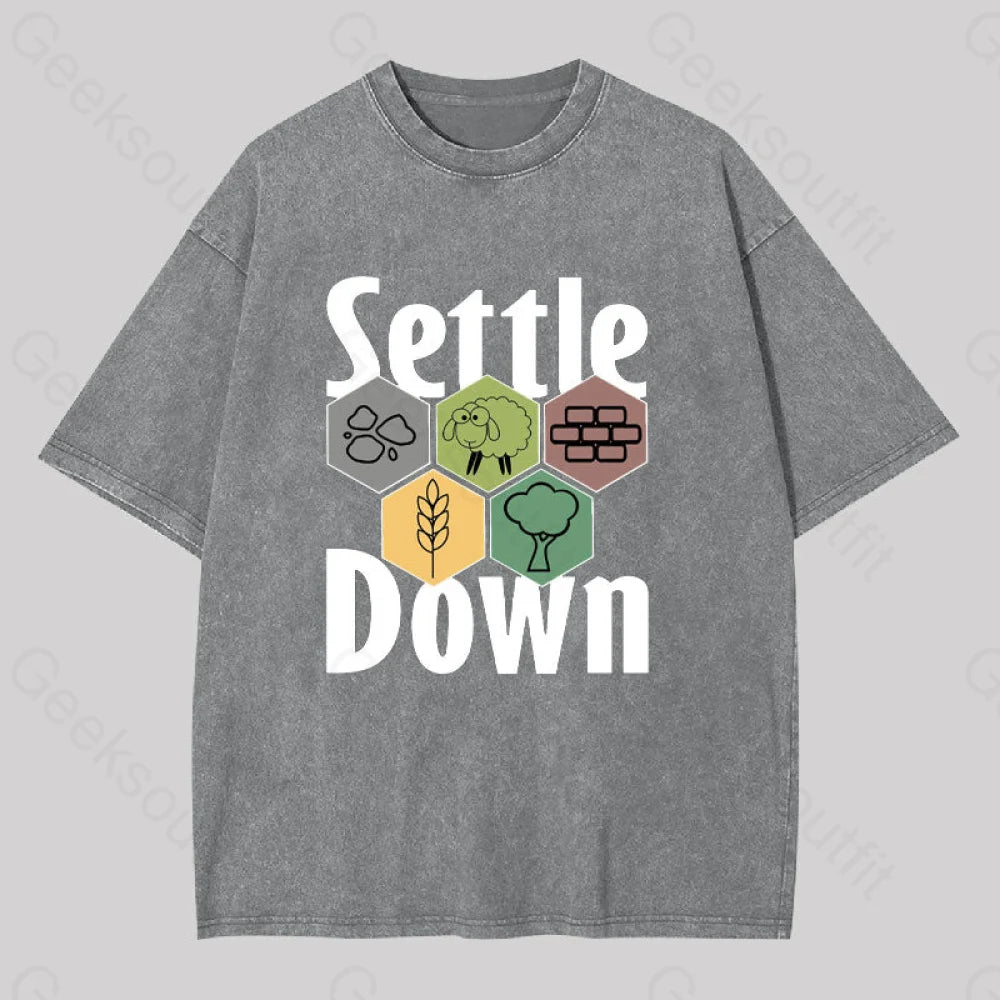 Settle Down Geek Washed T-Shirt Grey / S