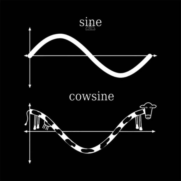 Sine And Cowsine T-Shirt