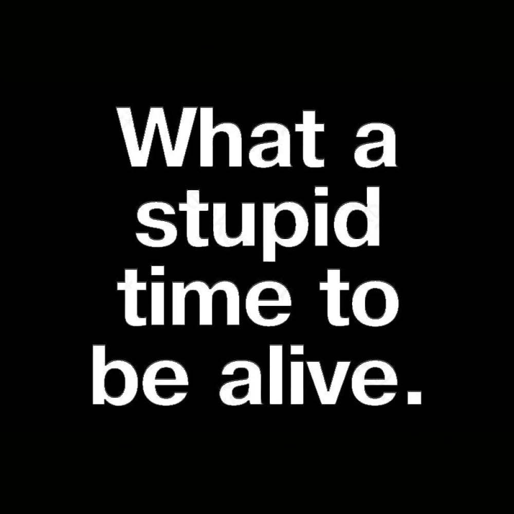 Stupid Time To Be Alive Geek T-Shirt