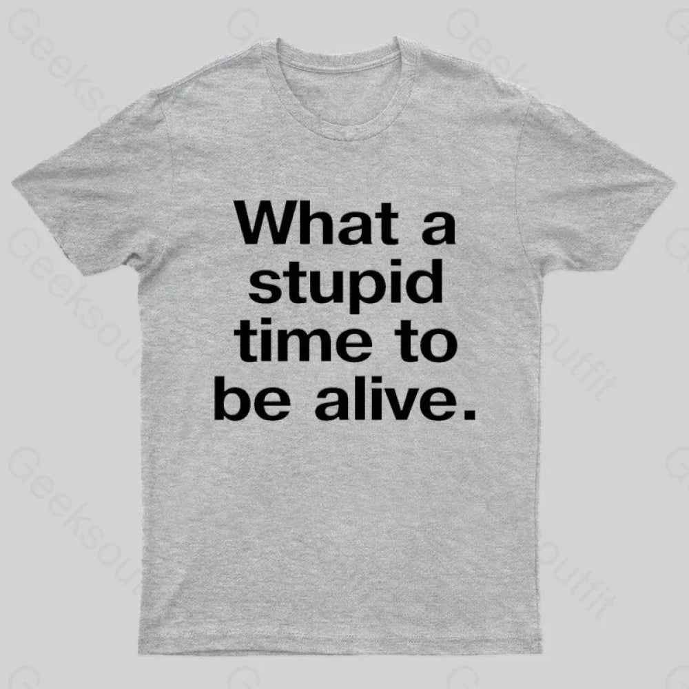 Stupid Time To Be Alive Geek T-Shirt Grey / S