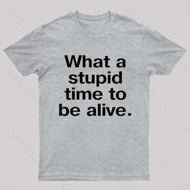 Stupid Time To Be Alive Geek T-Shirt Grey / S