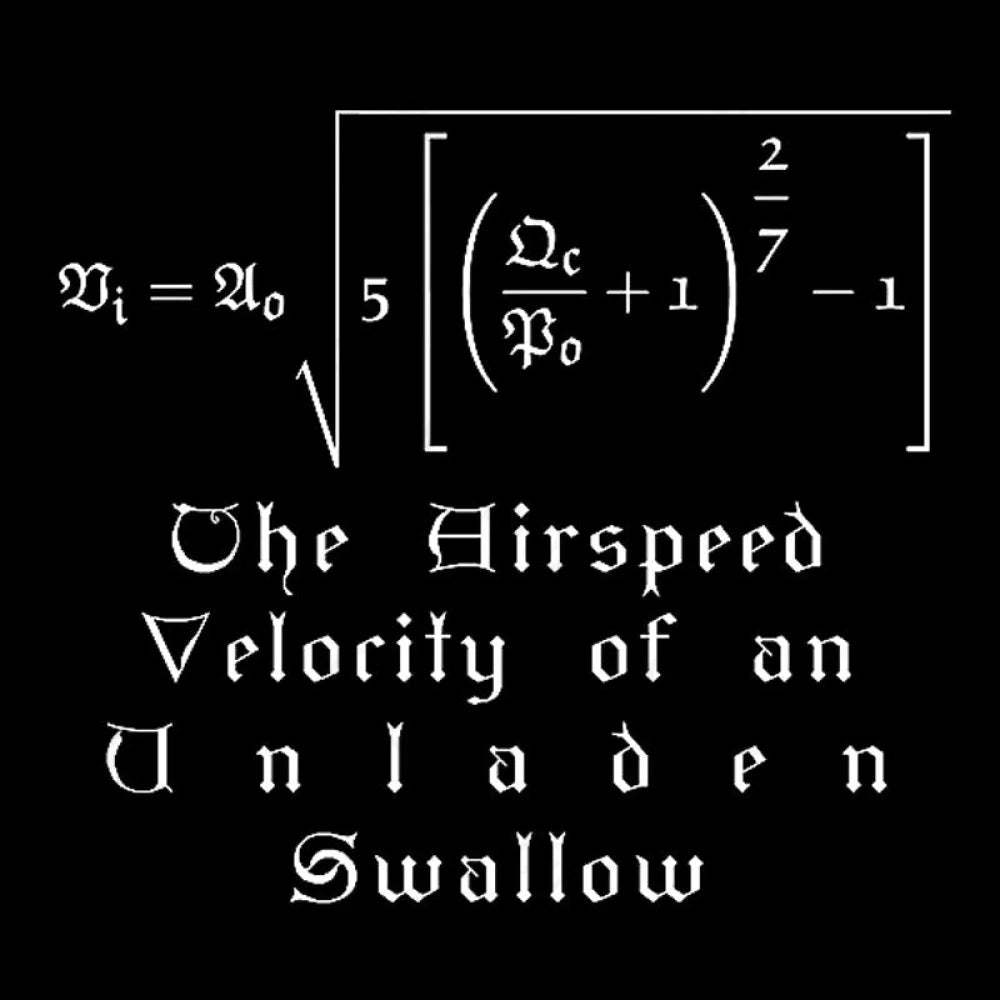 The Airspeed Velocity Of An Unladen Swallow Nerd T-Shirt