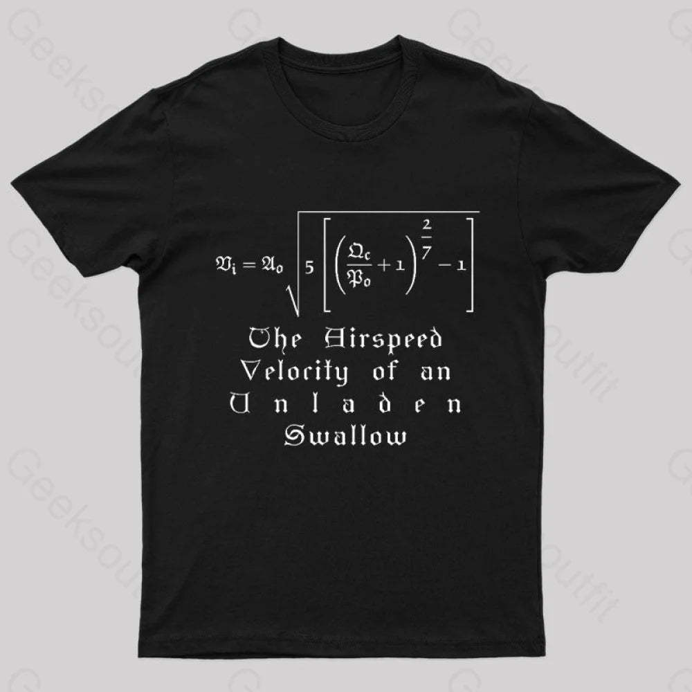 The Airspeed Velocity Of An Unladen Swallow Nerd T-Shirt Black / S