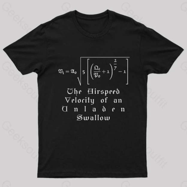 The Airspeed Velocity Of An Unladen Swallow Nerd T-Shirt Black / S