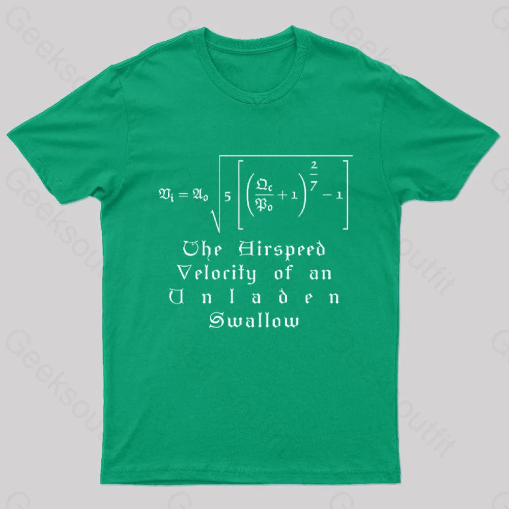 The Airspeed Velocity Of An Unladen Swallow Nerd T-Shirt Green / S