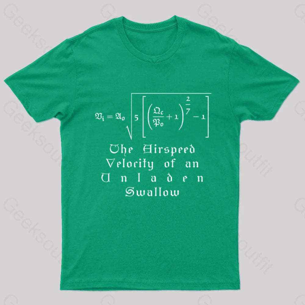 The Airspeed Velocity Of An Unladen Swallow Nerd T-Shirt Green / S