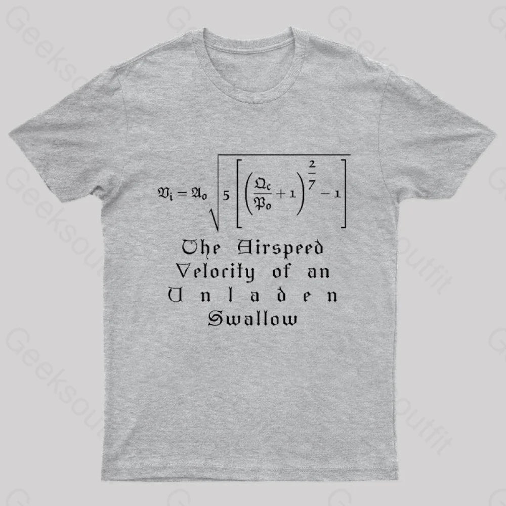 The Airspeed Velocity Of An Unladen Swallow Nerd T-Shirt Grey / S