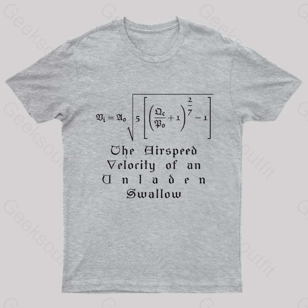 The Airspeed Velocity Of An Unladen Swallow Nerd T-Shirt Grey / S