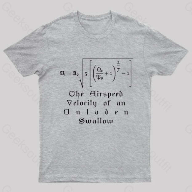 The Airspeed Velocity Of An Unladen Swallow Nerd T-Shirt Grey / S