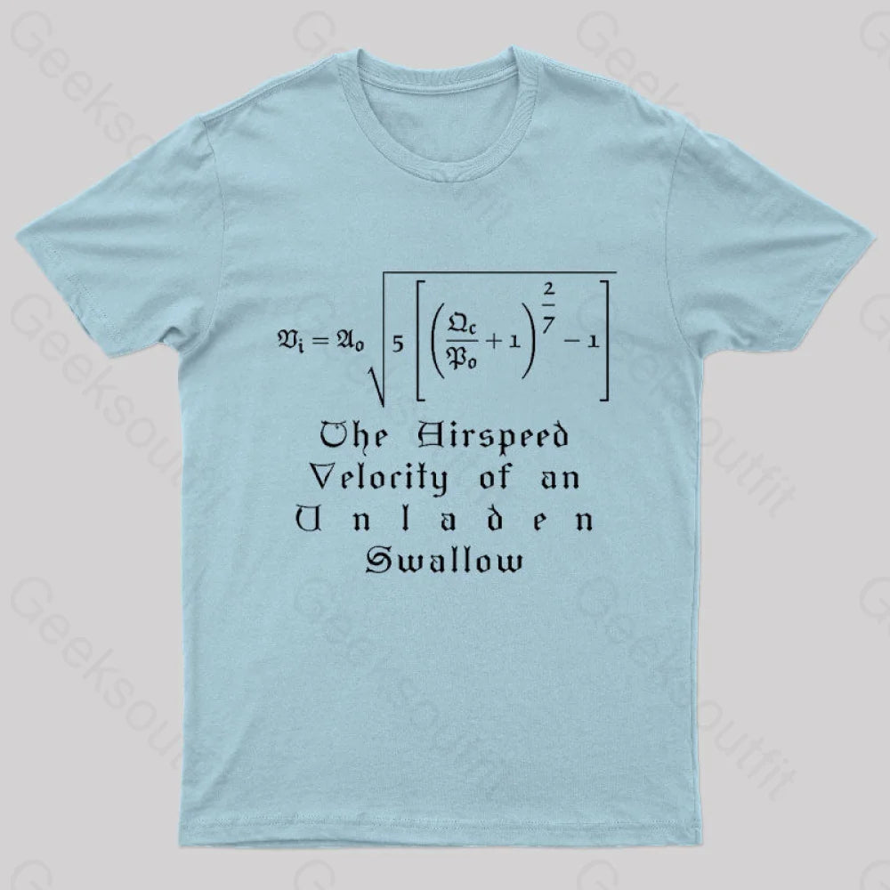 The Airspeed Velocity Of An Unladen Swallow Nerd T-Shirt Light Blue / S