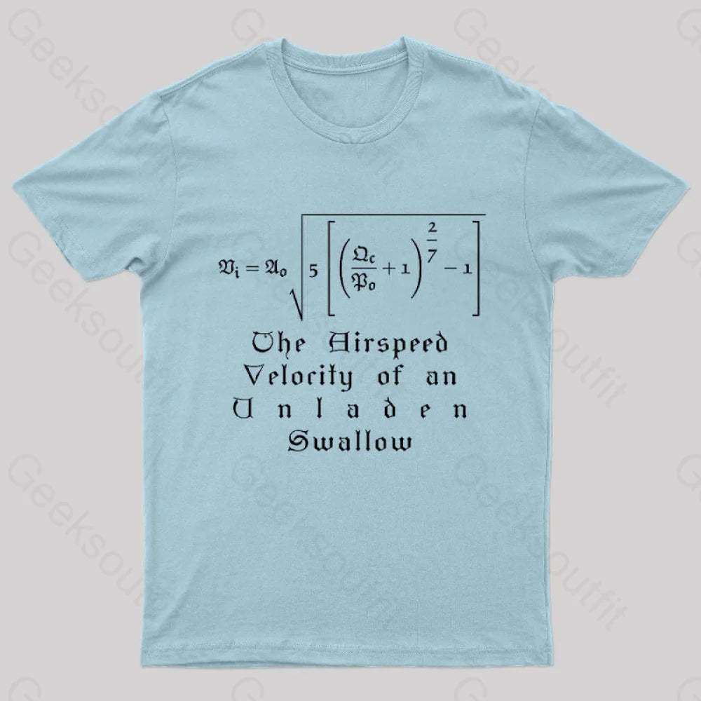 The Airspeed Velocity Of An Unladen Swallow Nerd T-Shirt Light Blue / S