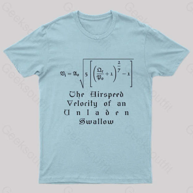 The Airspeed Velocity Of An Unladen Swallow Nerd T-Shirt Light Blue / S