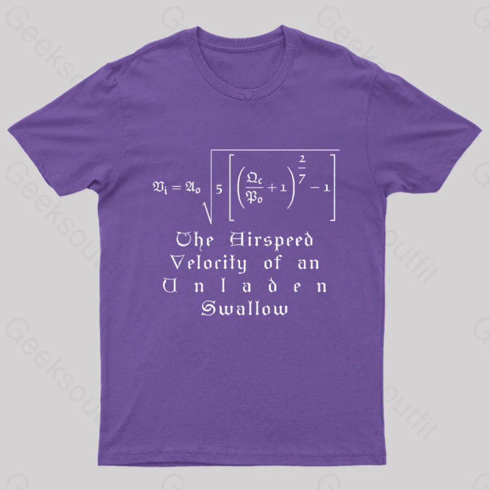 The Airspeed Velocity Of An Unladen Swallow Nerd T-Shirt Purple / S