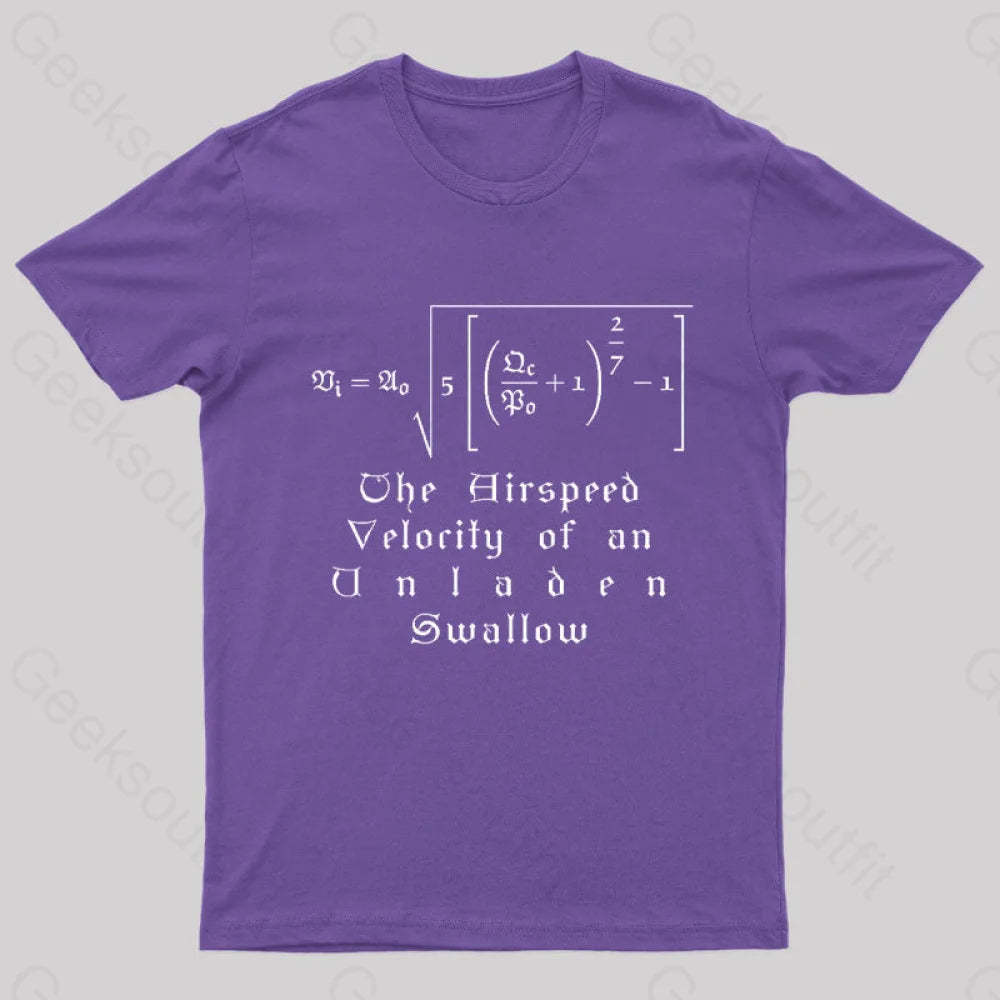The Airspeed Velocity Of An Unladen Swallow Nerd T-Shirt Purple / S