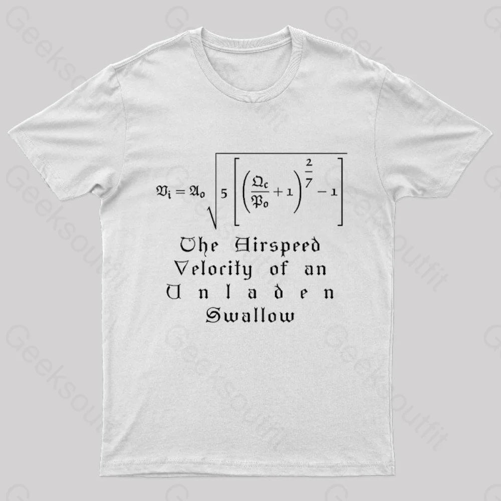 The Airspeed Velocity Of An Unladen Swallow Nerd T-Shirt White / S