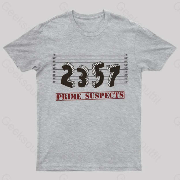 The Prime Number Suspects T-Shirt Grey / S