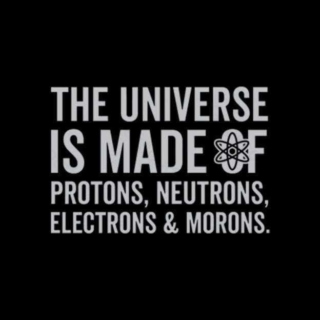 The Universe Is Made Of Morons T-Shirt
