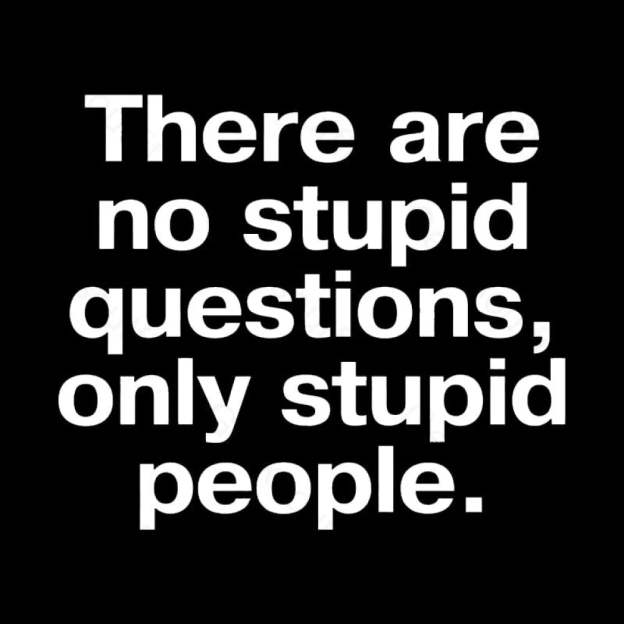 There Are No Stupid Questions Only People Nerd T-Shirt