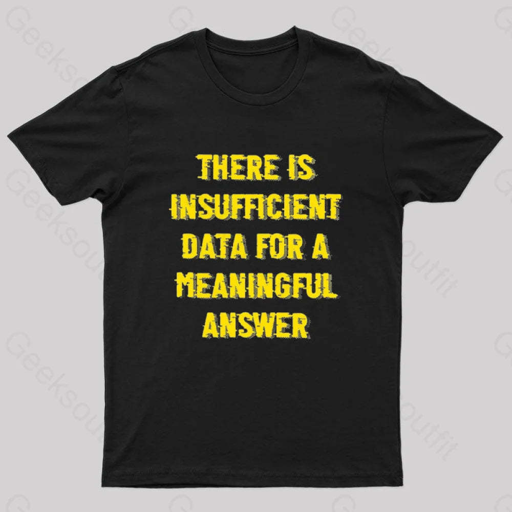 There Is Insufficient Data For A Meaningful Answer Geek T-Shirt Black / S