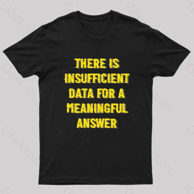 There Is Insufficient Data For A Meaningful Answer Geek T-Shirt Black / S