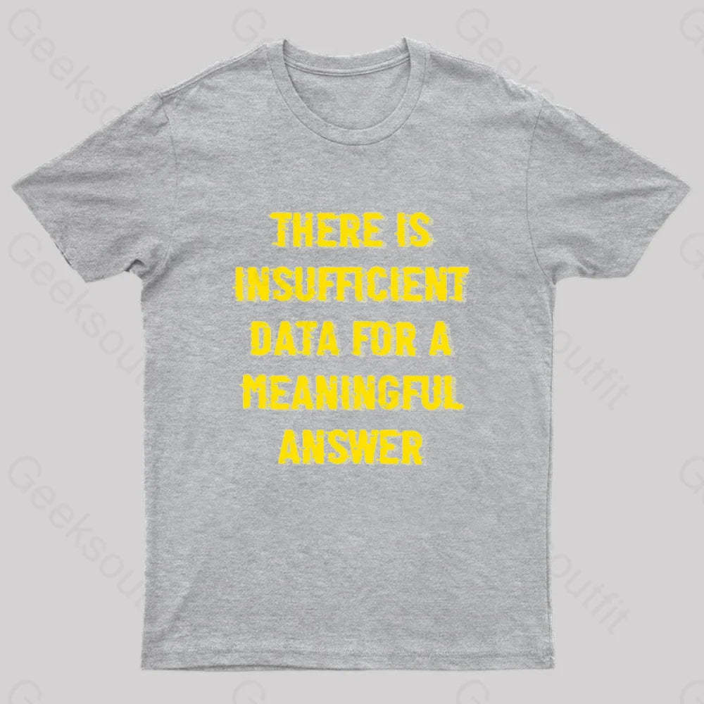 There Is Insufficient Data For A Meaningful Answer Geek T-Shirt Grey / S