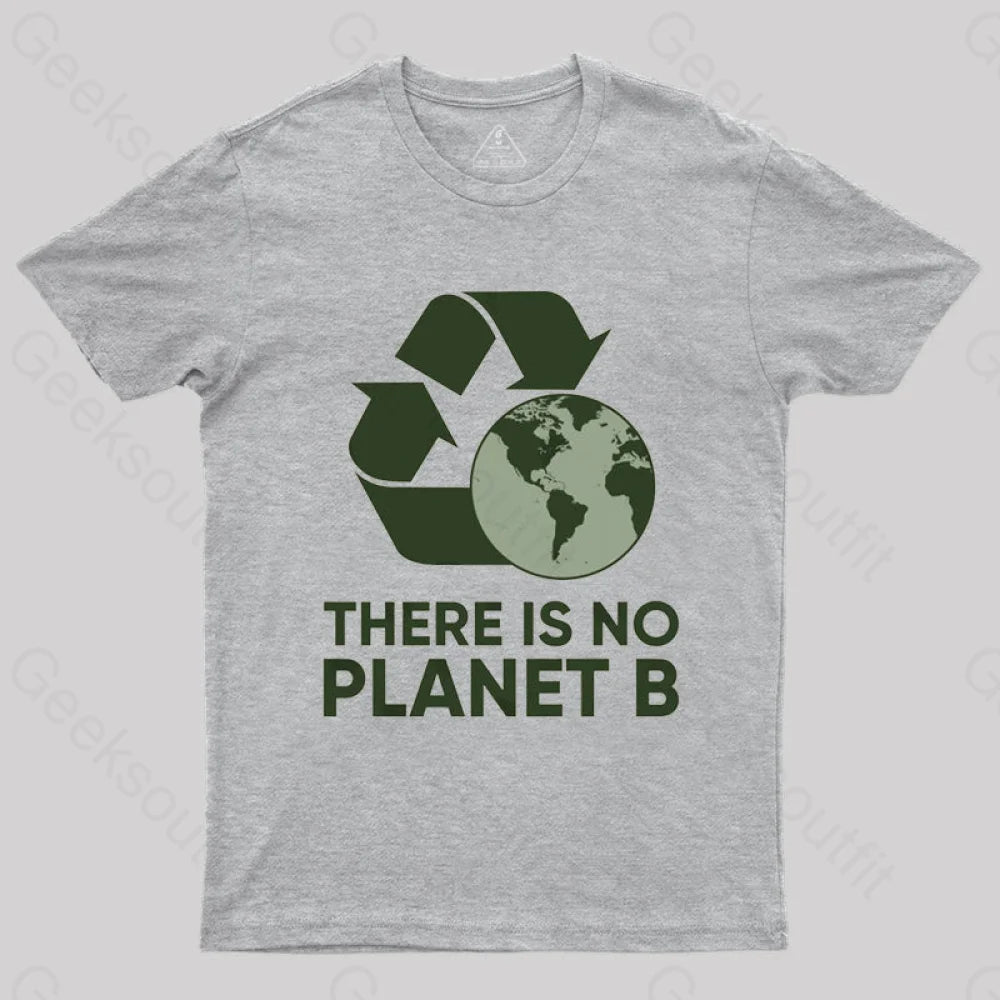 There Is No Planet B T-Shirt Grey / S