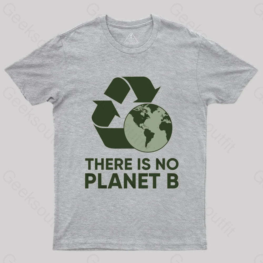 There Is No Planet B T-Shirt Grey / S